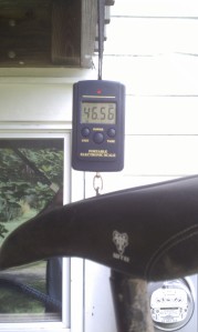 Featherlight for a Bluto forked bike at 46.5 lbs without the battery.